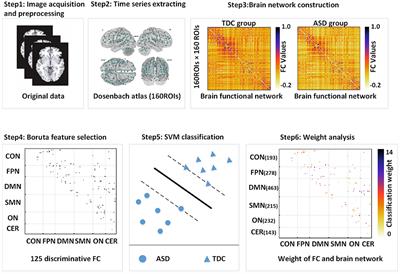 Identifying Boys With Autism Spectrum Disorder Based on Whole-Brain Resting-State Interregional Functional Connections Using a Boruta-Based Support Vector Machine Approach